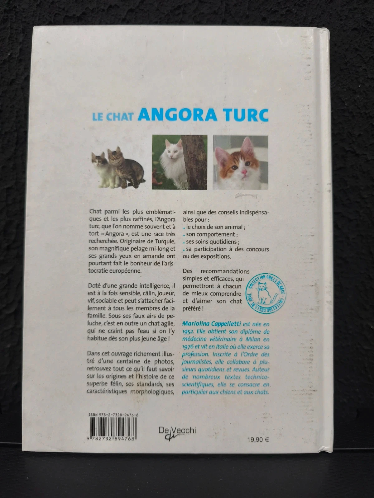 Turkse Angora kat – photo 2